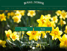 Tablet Screenshot of burnsandwebber.com